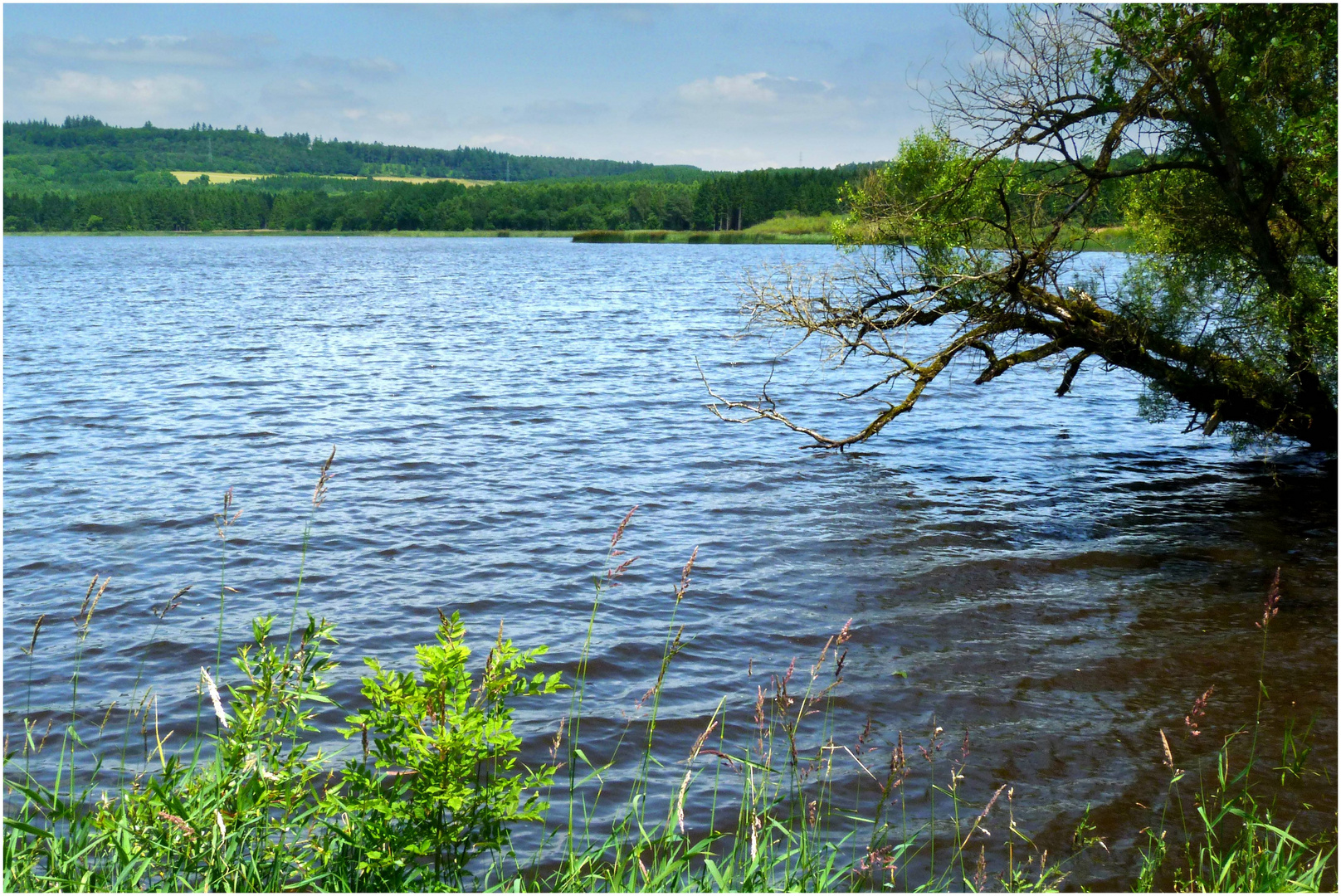 Jungferweiher in Ulmen / Eifel