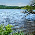 Jungferweiher in Ulmen / Eifel