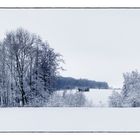 Jungfräuliche Wiesenlandschaft - Paysage de prairies vierges