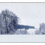 Jungfräuliche Wiesenlandschaft - Paysage de prairies vierges