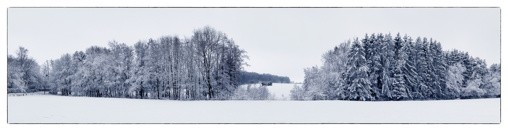 Jungfräuliche Wiesenlandschaft - Paysage de prairies vierges