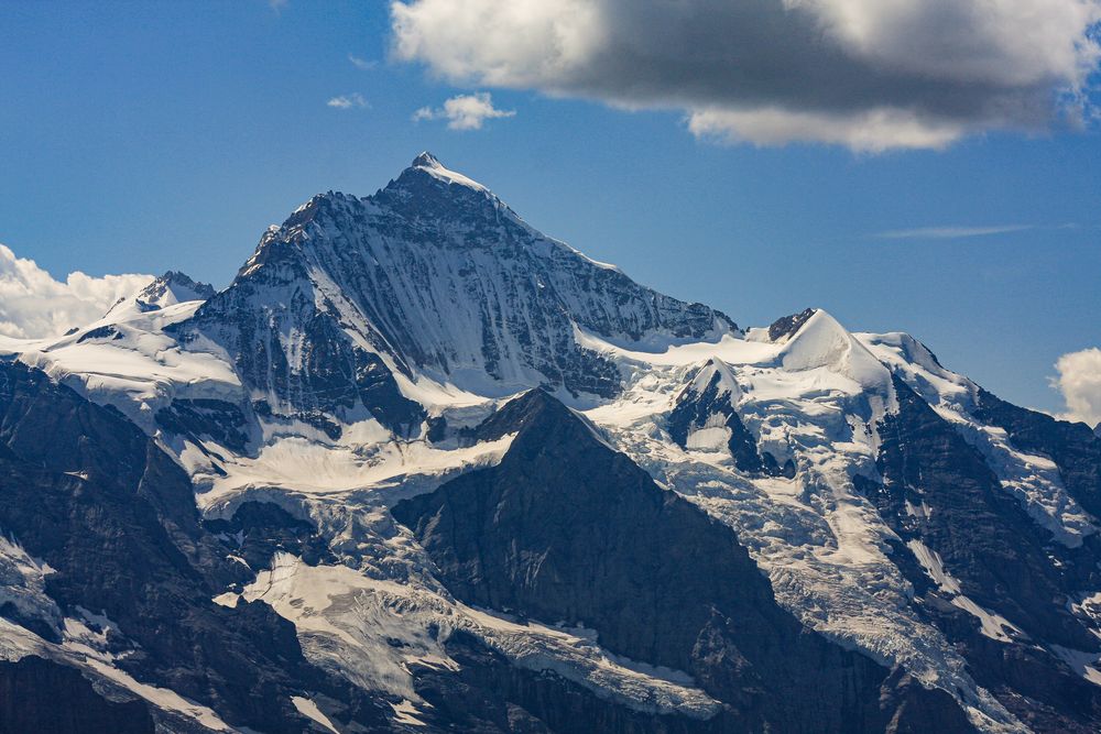 Jungfrau (4158 m) mit Guggiroute