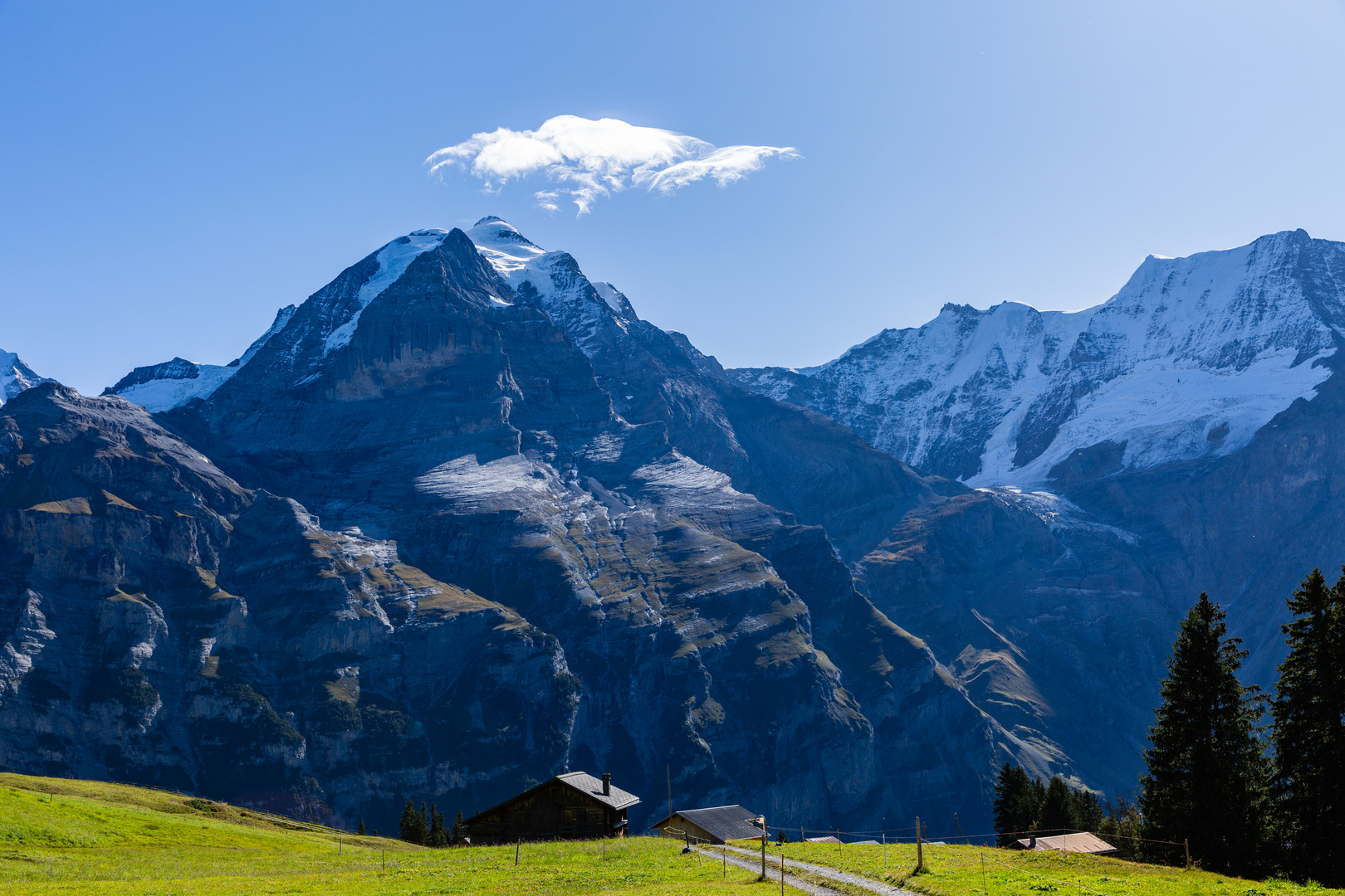 Jungfrau (4158 m.ü.M.), Gletscherhorn (3983 m.ü.M.) und Ebnefluh (3962 m.ü.M.)