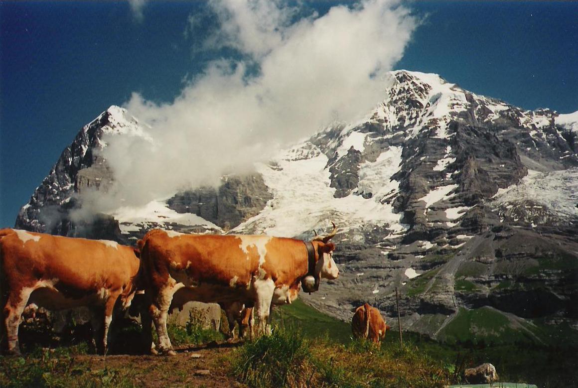 Jungfrau