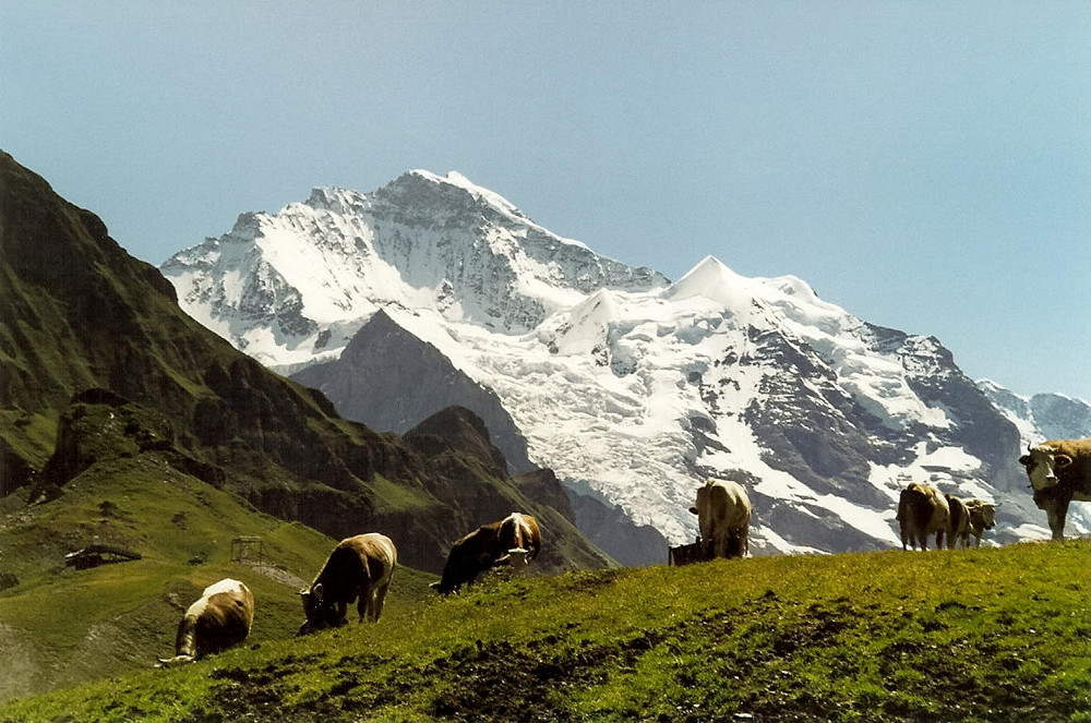 Jungfrau mit Sicht vom Männlichen