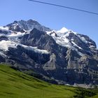 Jungfrau mit Silberhörnern von Kl. Scheidegg aus