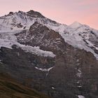 Jungfrau mit Silberhorn im zarten Morgenlicht...