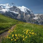 Jungfrau mit Trollblumen