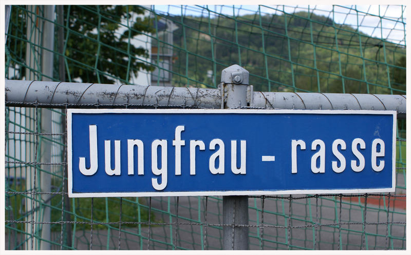 Jungfrau - Rasse