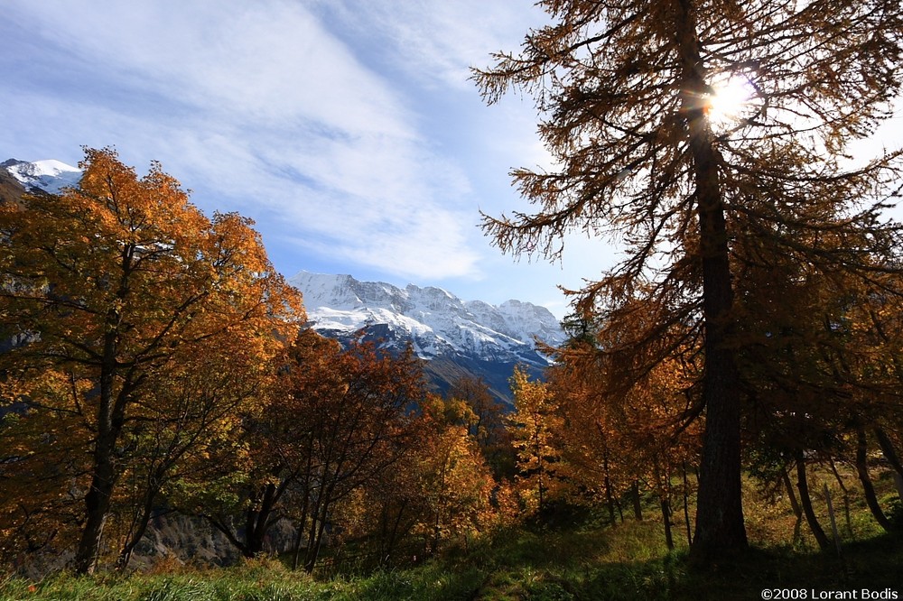 Jungfrau Region, Switzerland