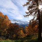 Jungfrau Region, Switzerland