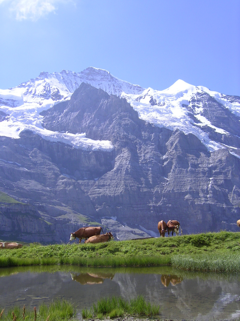 Jungfrau und Silberhorn