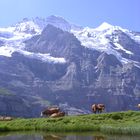 Jungfrau und Silberhorn