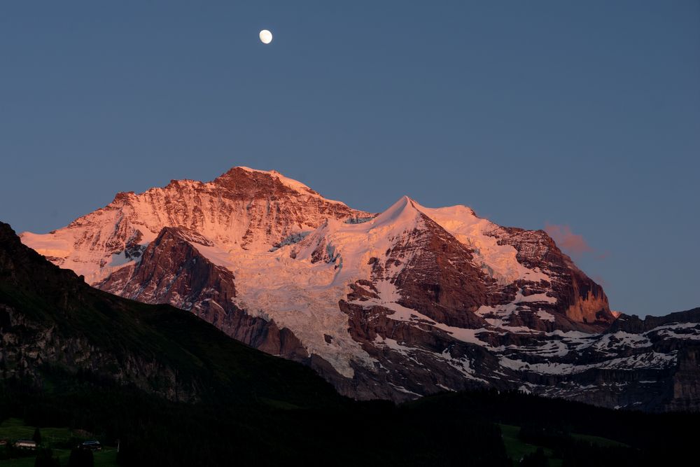 Jungfrau und Silberhorn im letzten Abendlicht