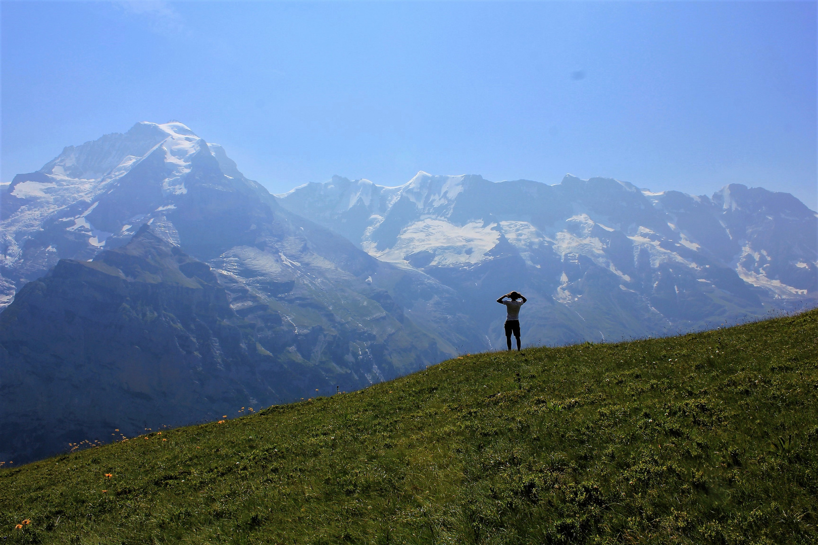 Jungfraublick