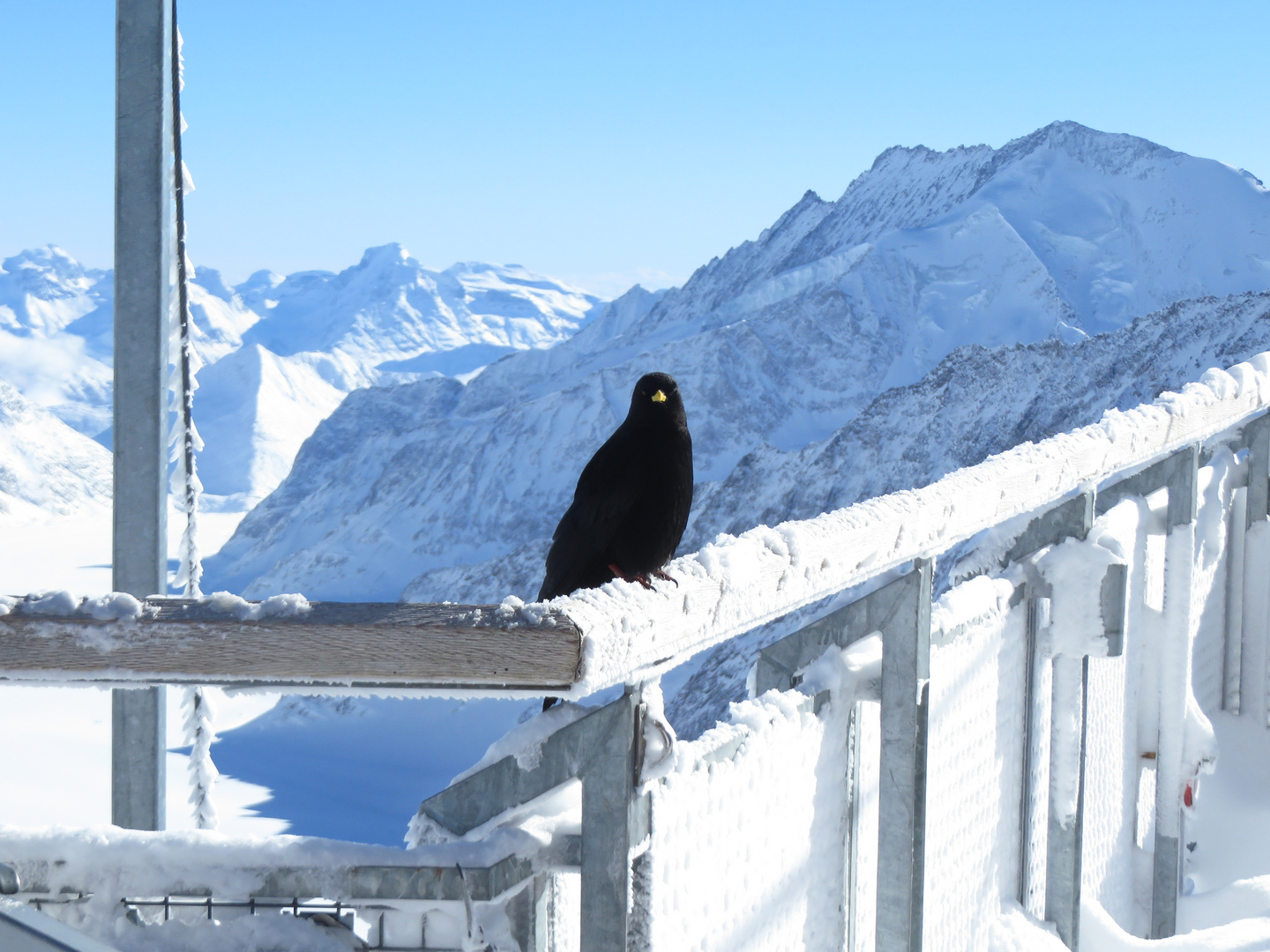 Jungfraujoch