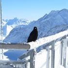 Jungfraujoch