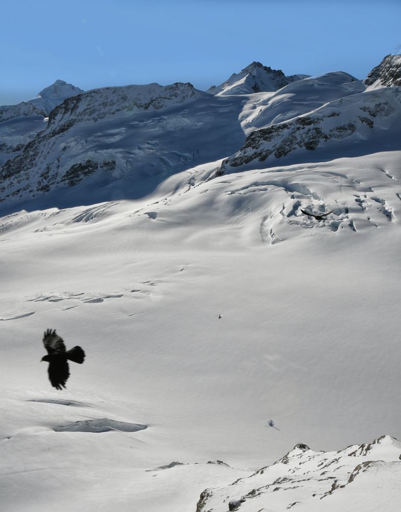 Jungfraujoch ..