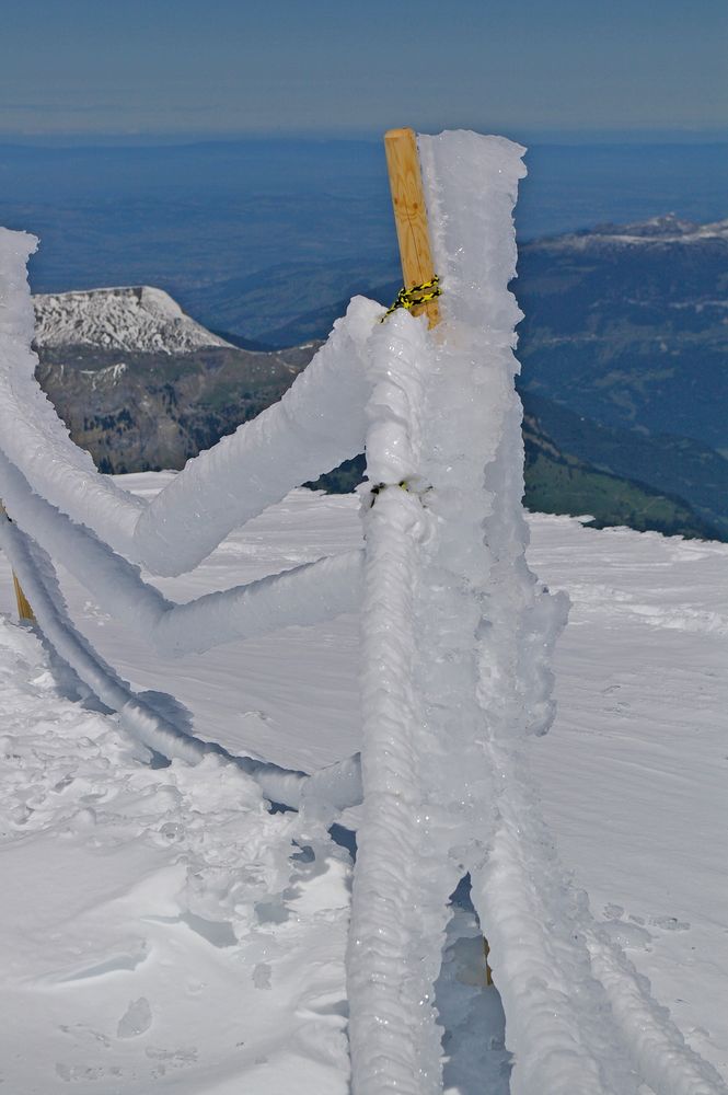 Jungfraujoch Mai 2017 203