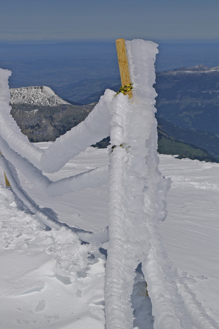 Jungfraujoch Mai 2017 203