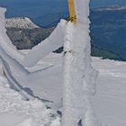 Jungfraujoch Mai 2017 203