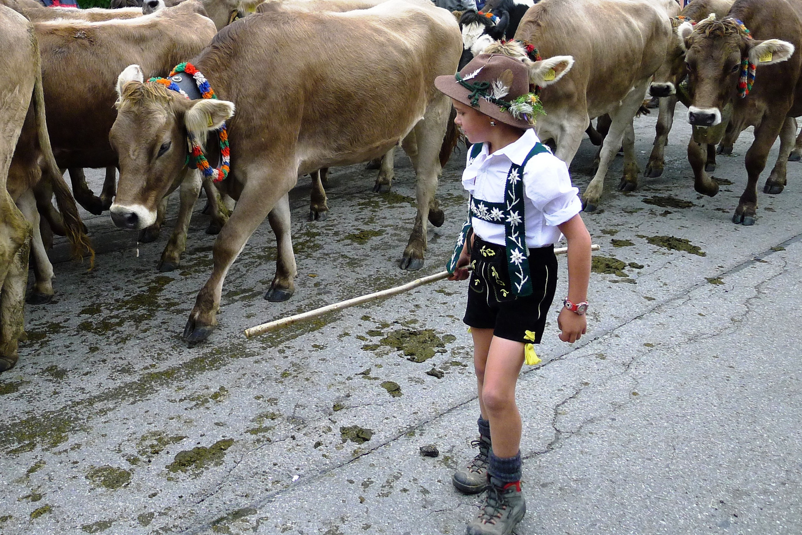 Junghirte am Viehscheid