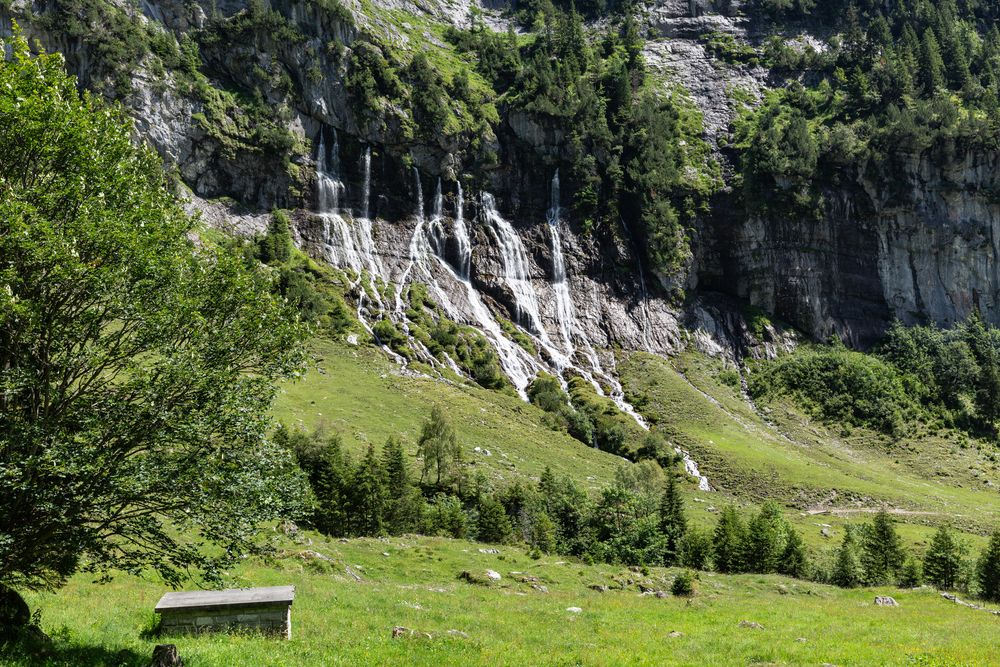 Jungibäch