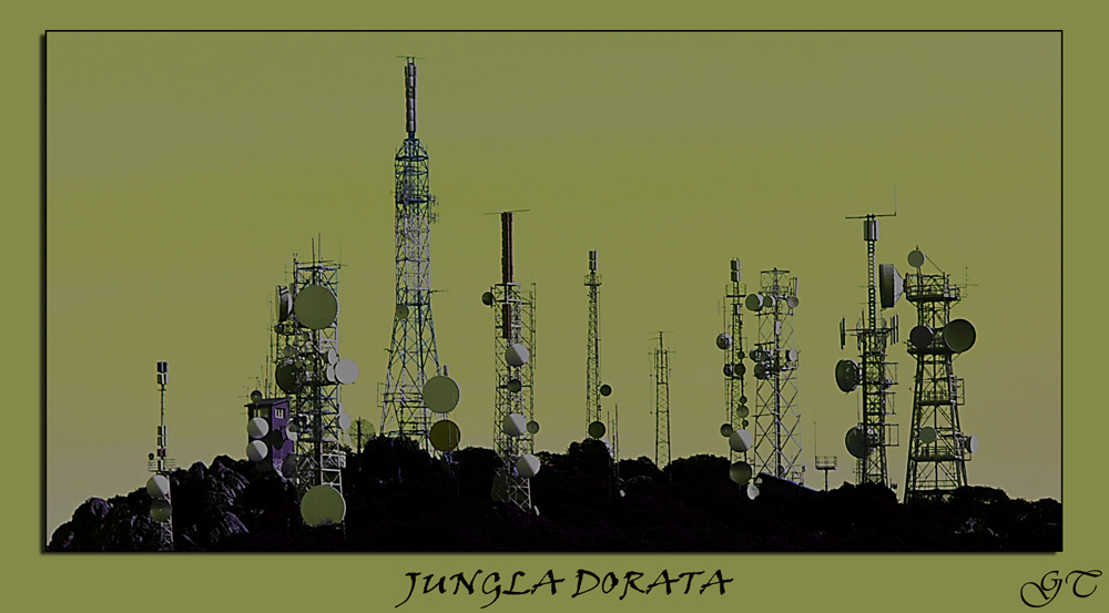 Jungla dorata