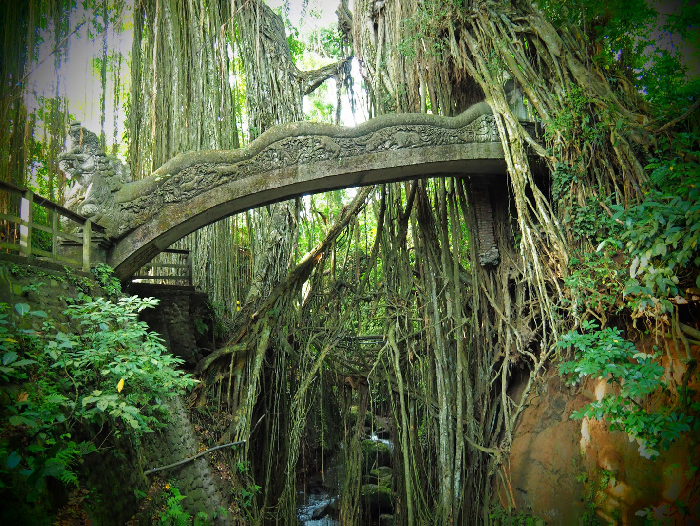 Jungle-Brücke