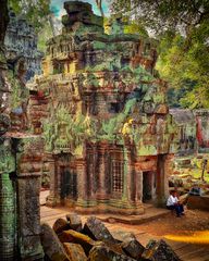 jungle colour