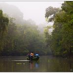 jungle cruise