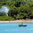 jungle en bord de mer