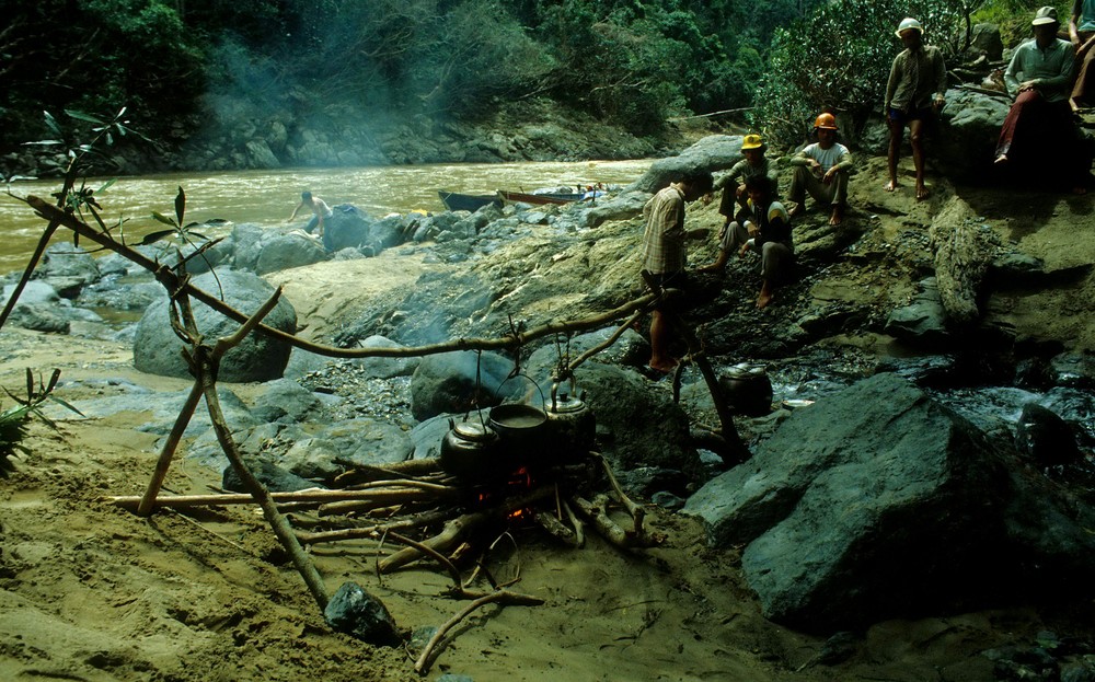 Jungle Kitchen