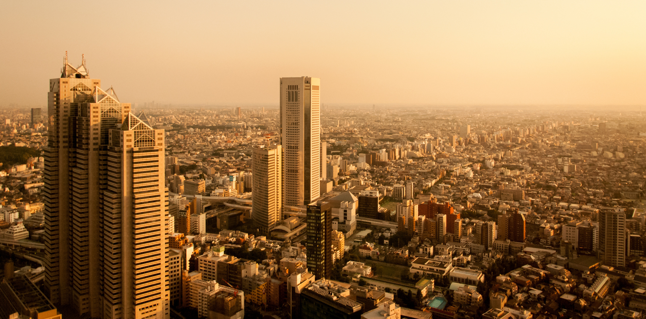 Jungle of Concrete, Steel and Glass