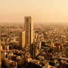 Jungle of Concrete, Steel and Glass