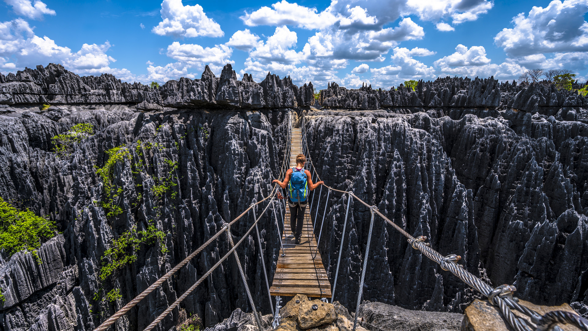 Jungle of Limestone