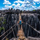 Jungle of Limestone