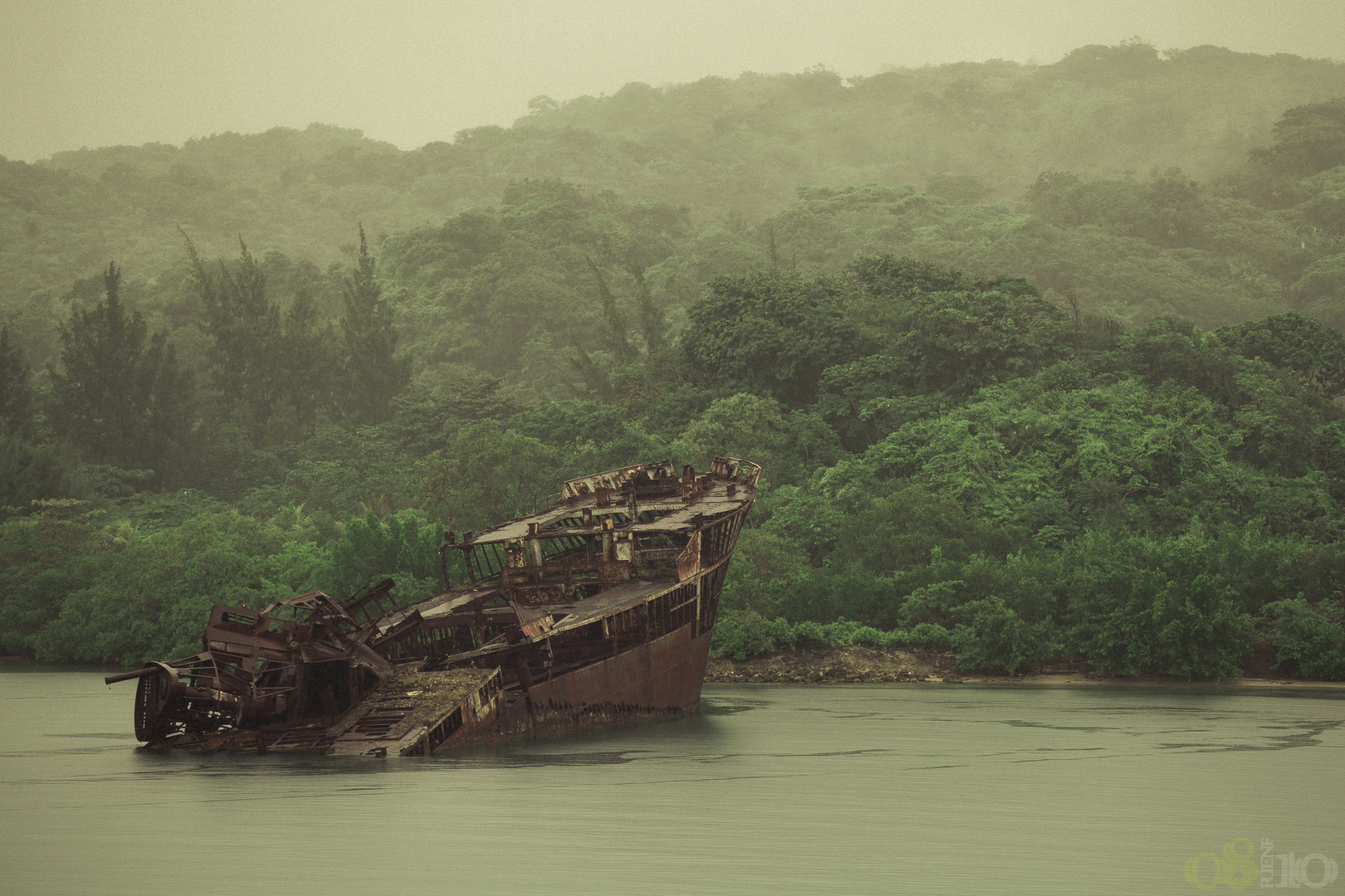 jungle of roatan