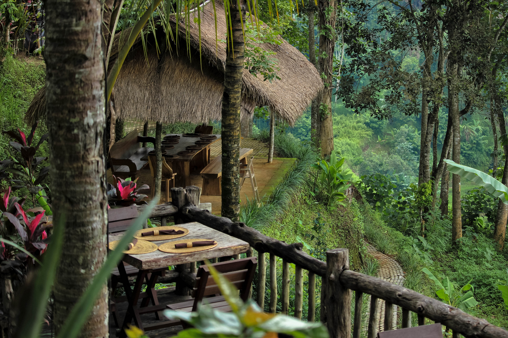 ..jungle restaurant..