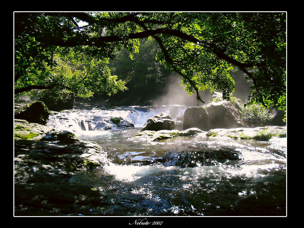 Jungle River