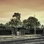 Jungle Train Graveyard Purwokerto 1984