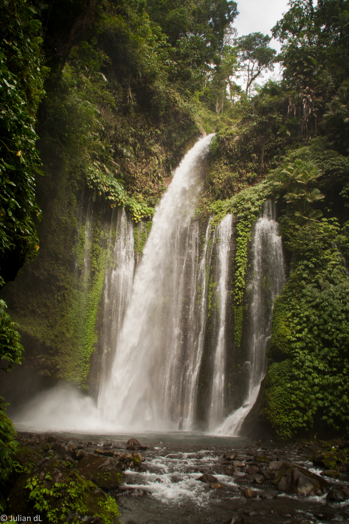 Jungle Water