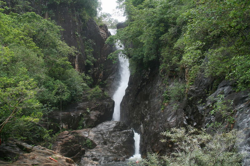 " Jungle Waterfall "