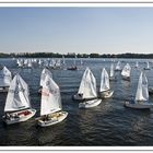 Jungsegler auf der Havel