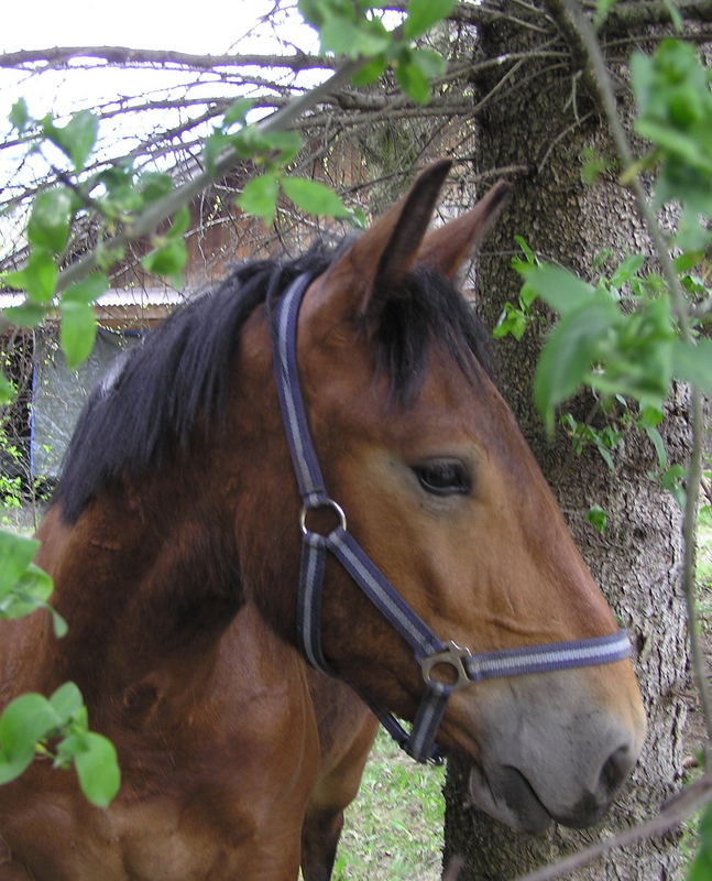 Jungspund Max (LEIDER etwas unscharf)