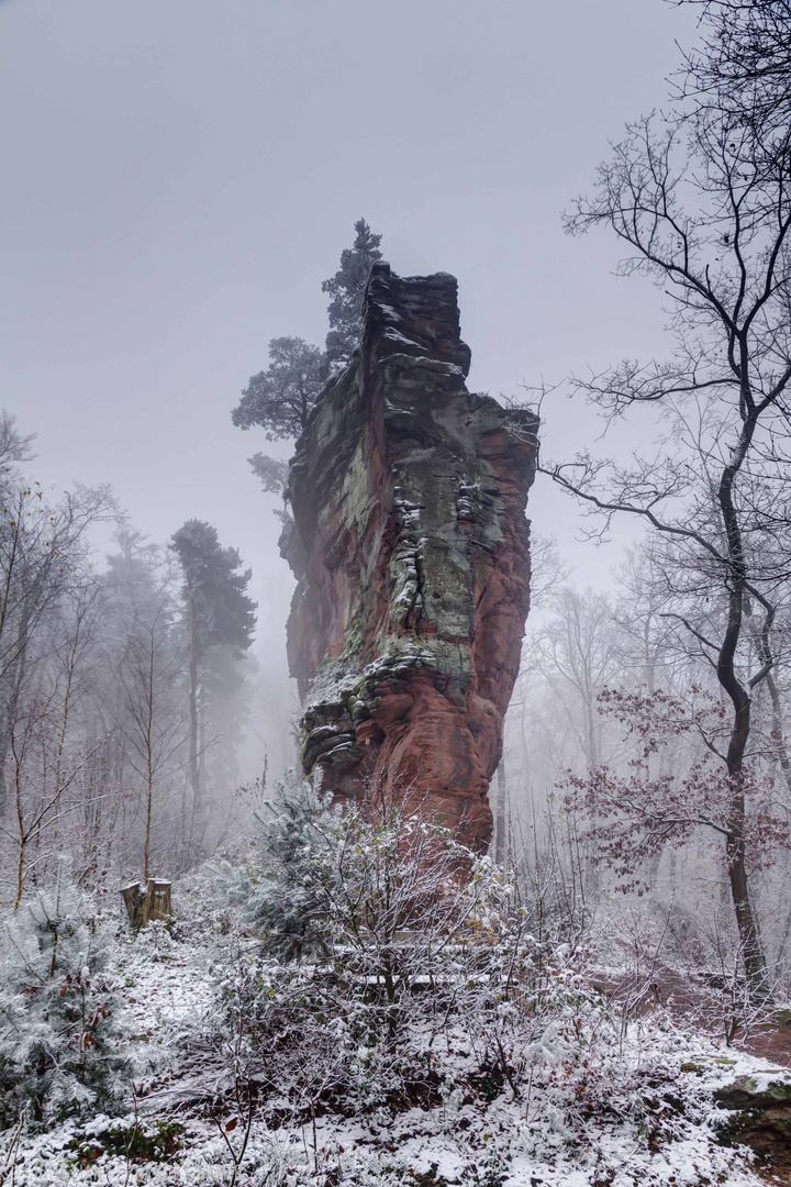 Jungturm bei Annweiler