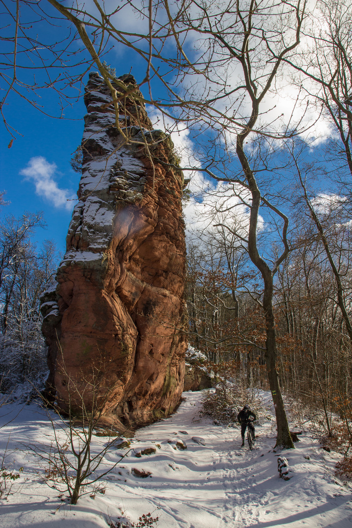 Jungturm bei Annweiler