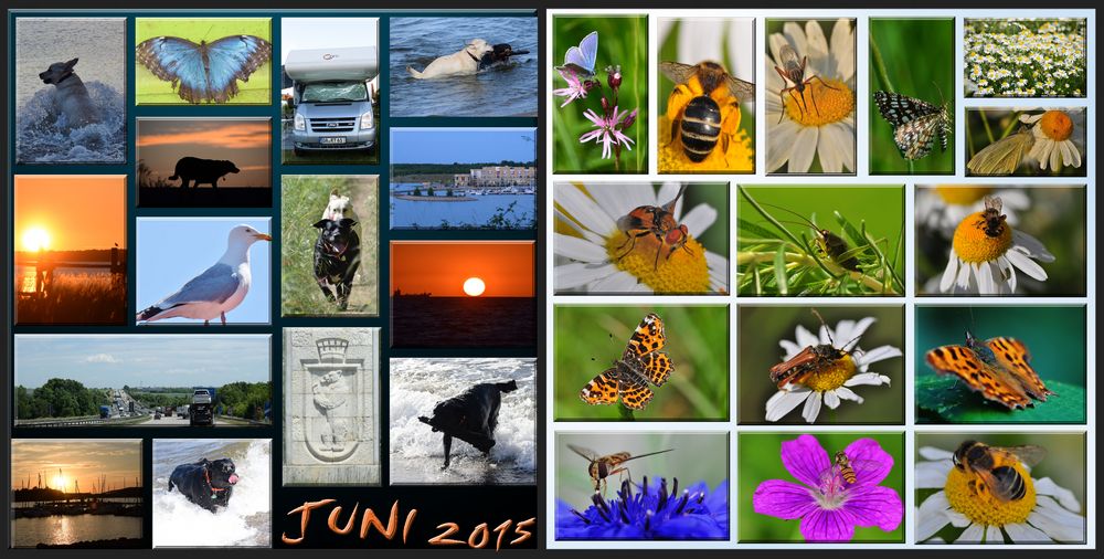 °°°JUNI 2015 °°°