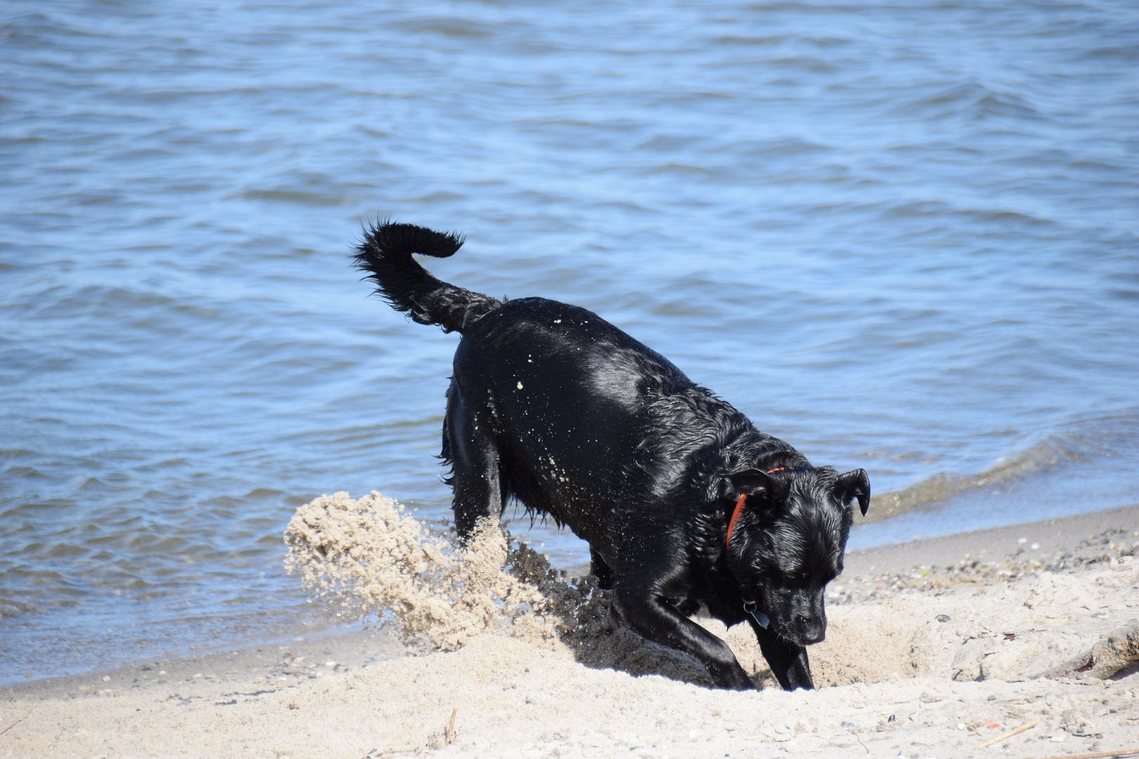 Juni 2015 Ostsee ....