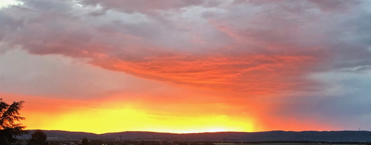 Juni 2019.Blick zum Taunus